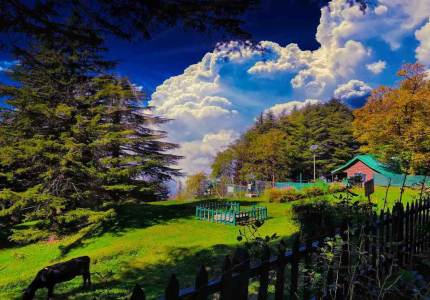 Pathankot Dalhousie & Dharamshala 3 Days