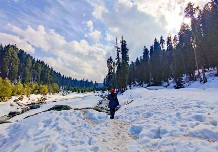 4 Days Trip Pathankot to Srinagar, Gulmarg & Pahalgam