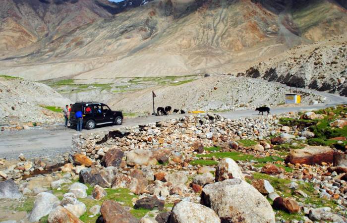 Ladakh 9 Days Tour from Pathankot