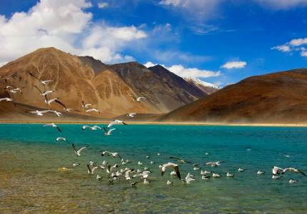 Chandigarh to Ladakh 6 Days Tour