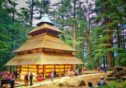 Shimla/Manali Taxi