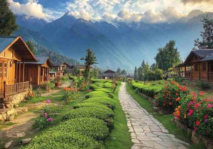 Dharamshala, Palampur & Bir Billing 4 Days Tour Pathankot