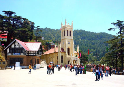 Shimla/Manali Taxi