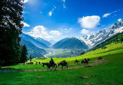 7 Days Tour Pathankot to Kashmir