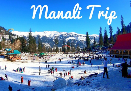 Shimla/Manali Taxi