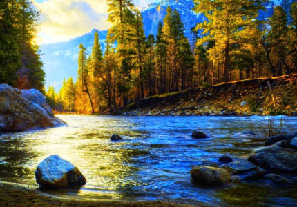4 Days Delhi to Srinagar Garden & Dal Lake Tour